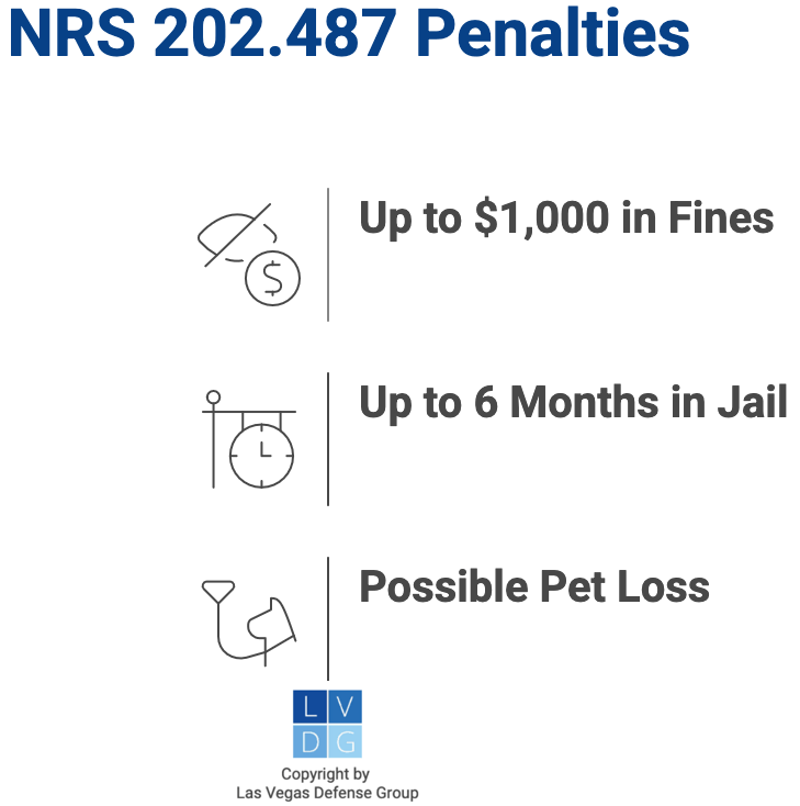 Gráfico que muestra las sanciones por dejar una mascota en un automóvil desatendida en condiciones peligrosas, como multas de hasta $1,000 y 6 meses de cárcel