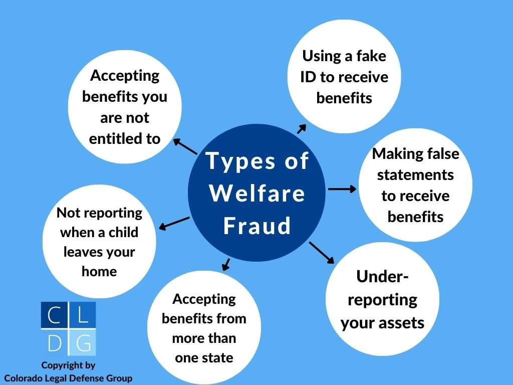 Bubble graph of welfare fraud types