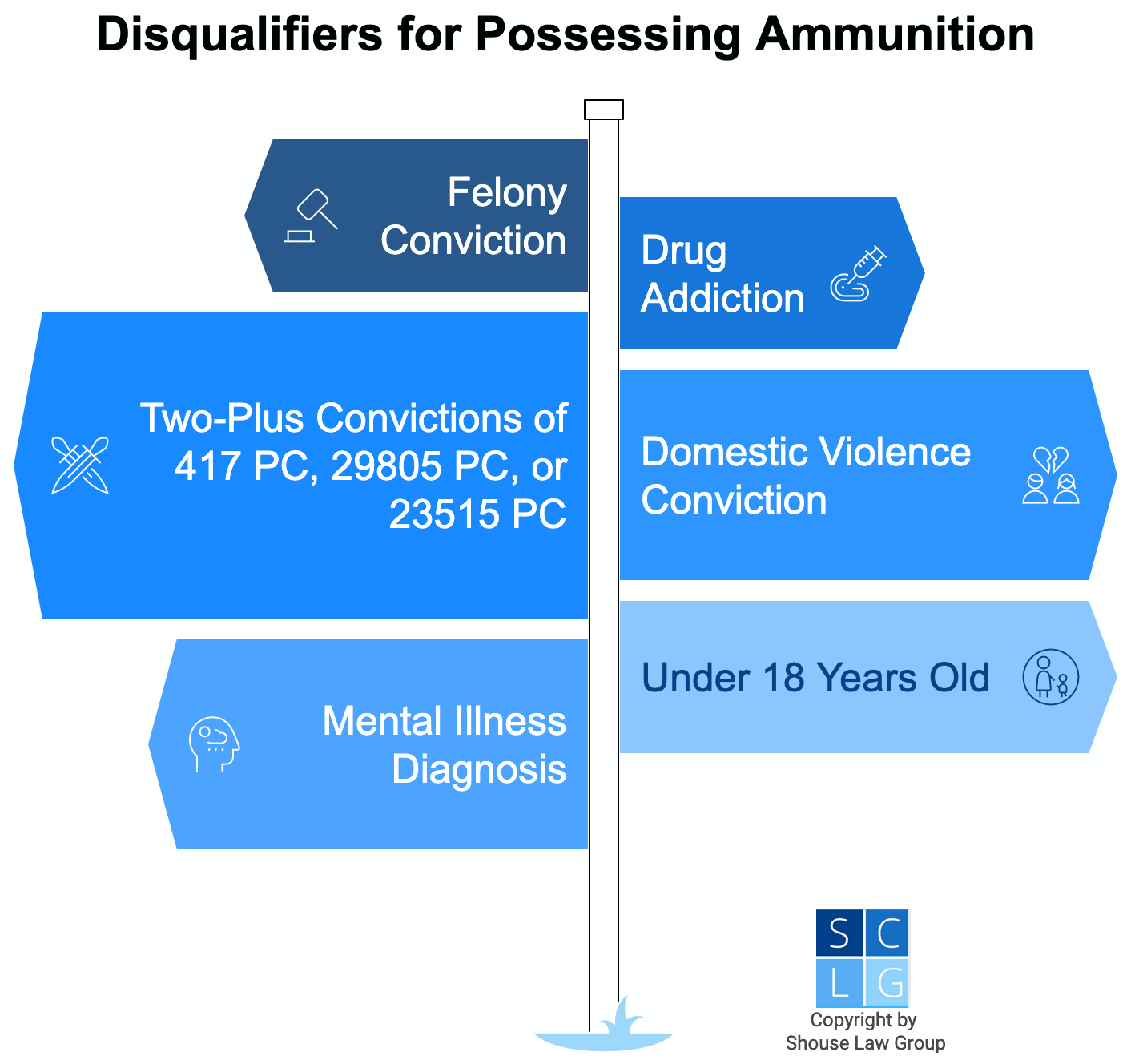 Graphic that shows disqualifiers for ammo possession in California, such as being under 18 or a convicted felon