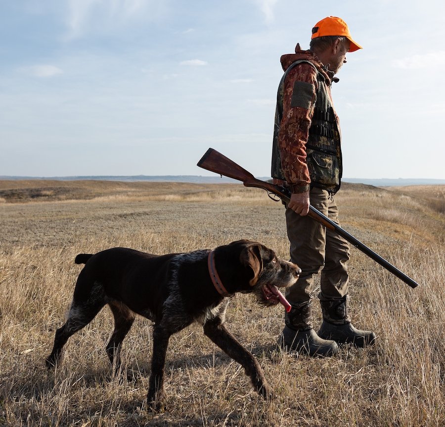 Hunting with a rifle stalking northern Nevada field with his hunting dog