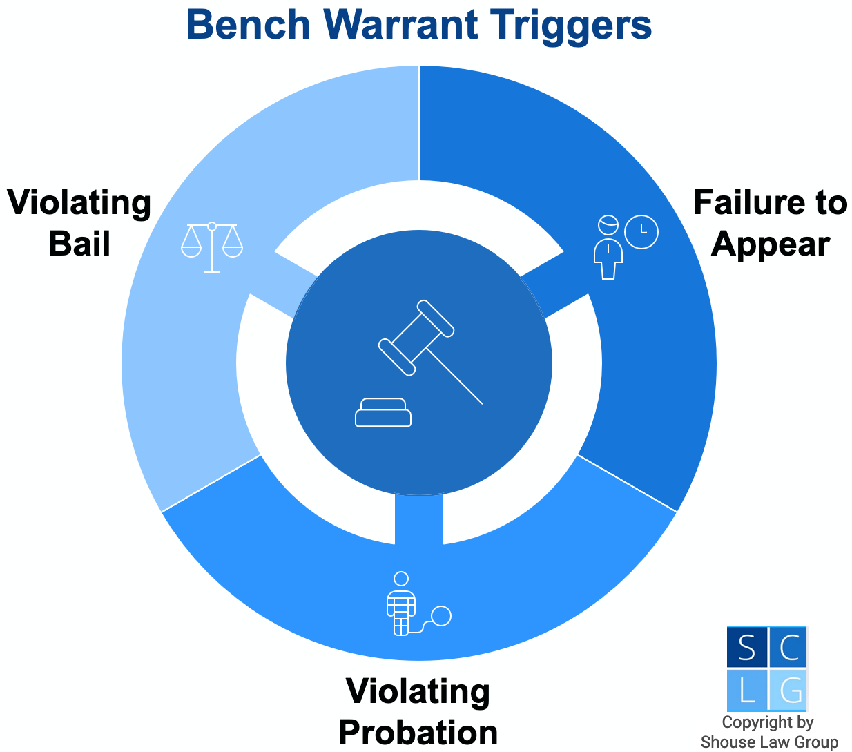 Gráfico que muestra los desencadenantes de las órdenes de arresto, como no comparecer en la corte