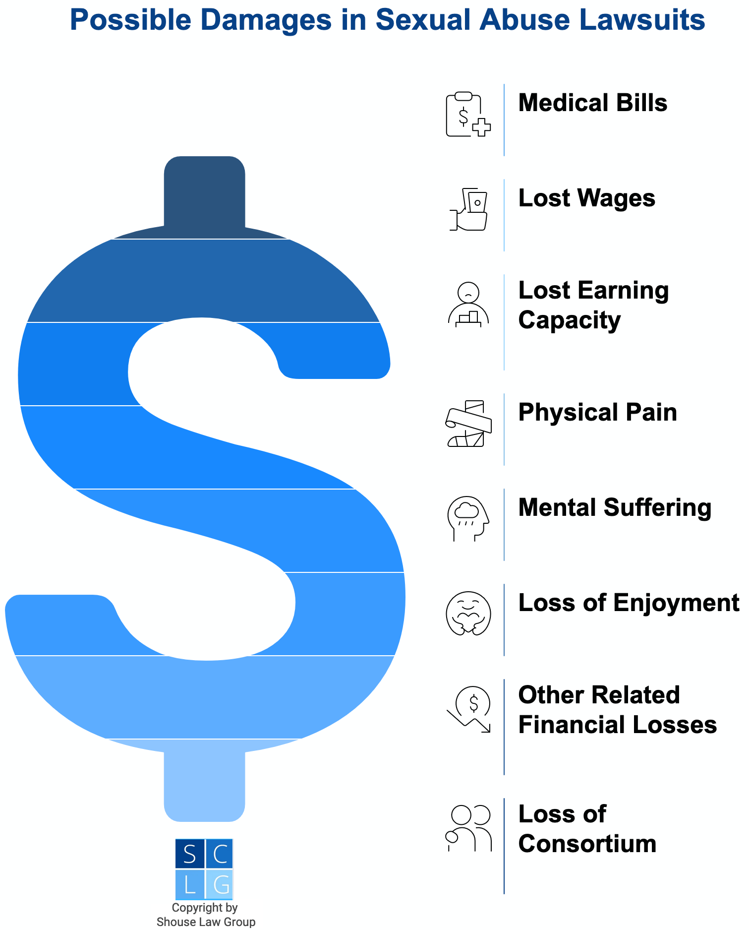 Graphic that shows possible damages in lawsuits for sexual abuse by doctors, such as medical bills and pain and suffering 