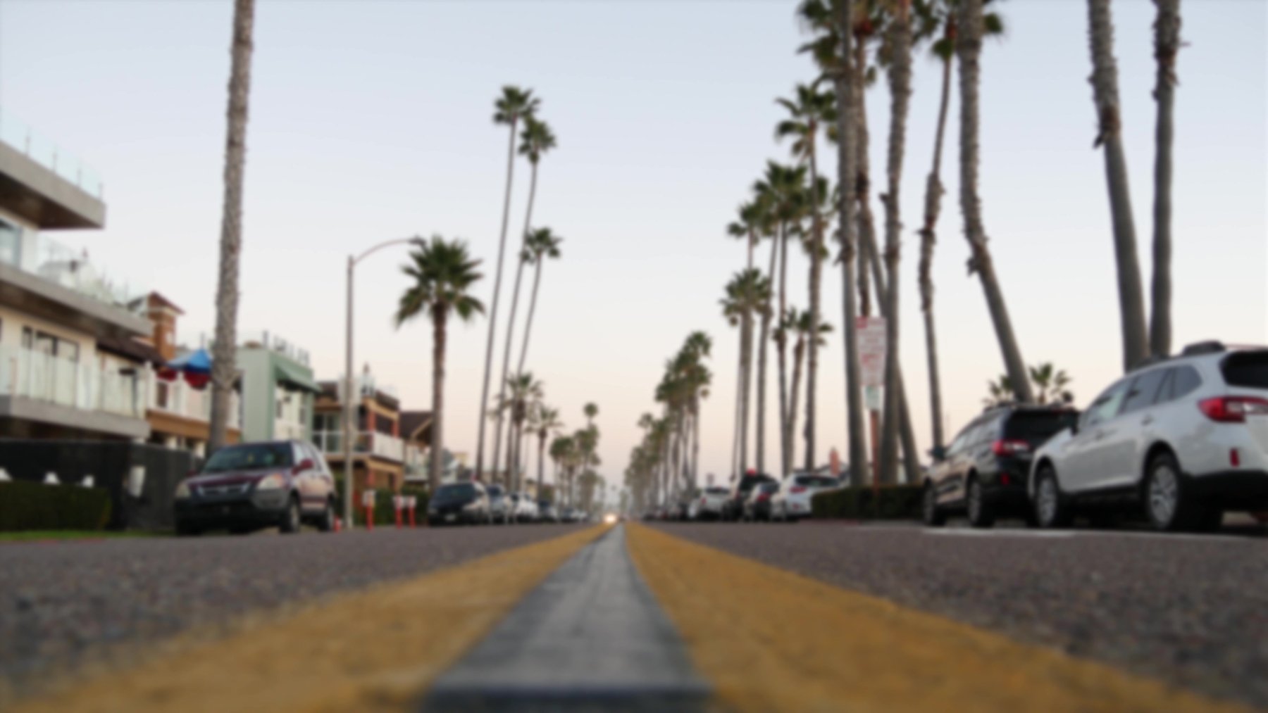 Palm tree lined road in Los Angeles during an overcast day
