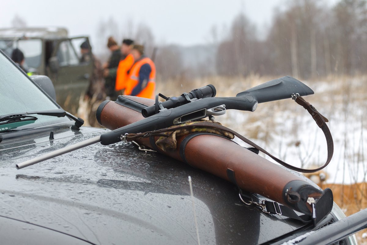 Rifle descansando sobre el capó de un auto con un fondo de bosque